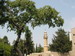 קישור לדף תמונות מטיול בעקבות חיים באר וספריו - סיורים ספרותיים בירושלים